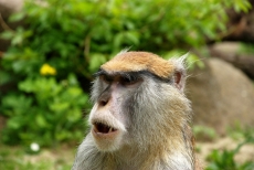 20110425 134415.jpg